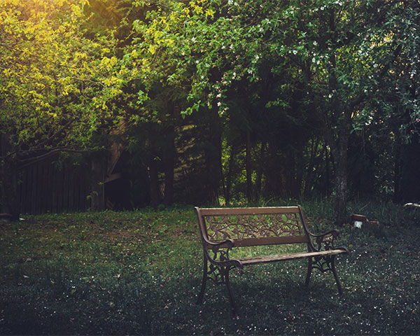 A lonely park bench representing grief - Wrongful death attorneys at Copple Rockey Schlecht and Mason in Norfolk, NE